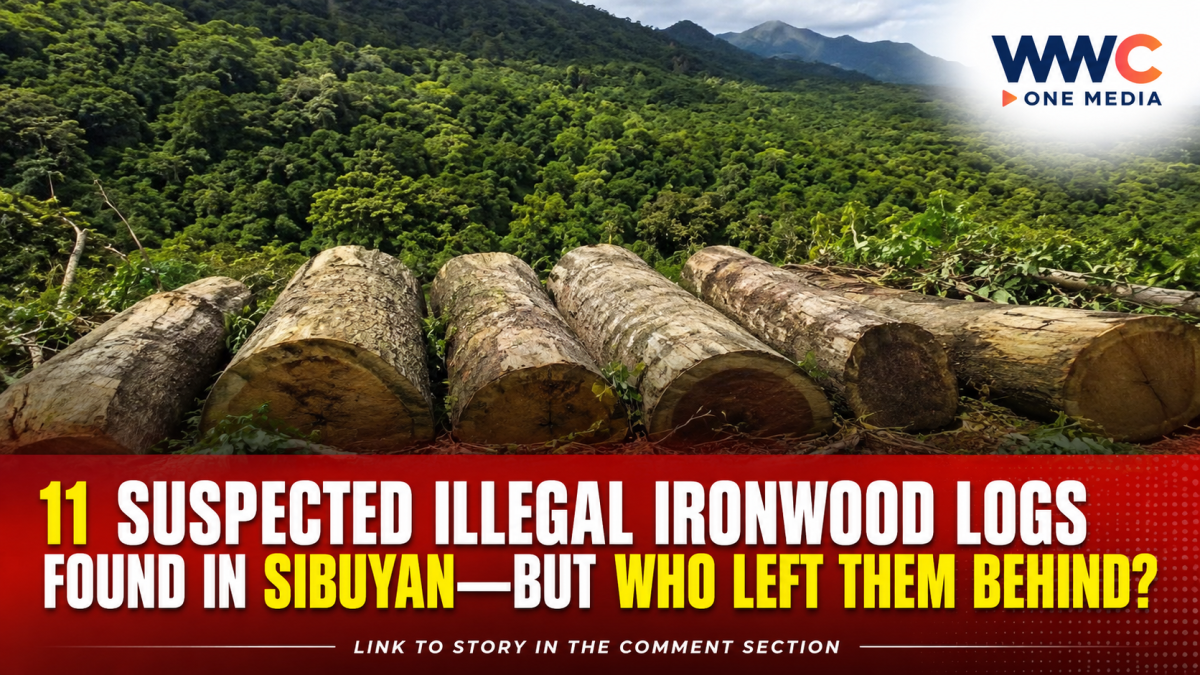 11 Suspected Illegal Ironwood Logs Found in Sibuyan—But Who Left Them Behind?