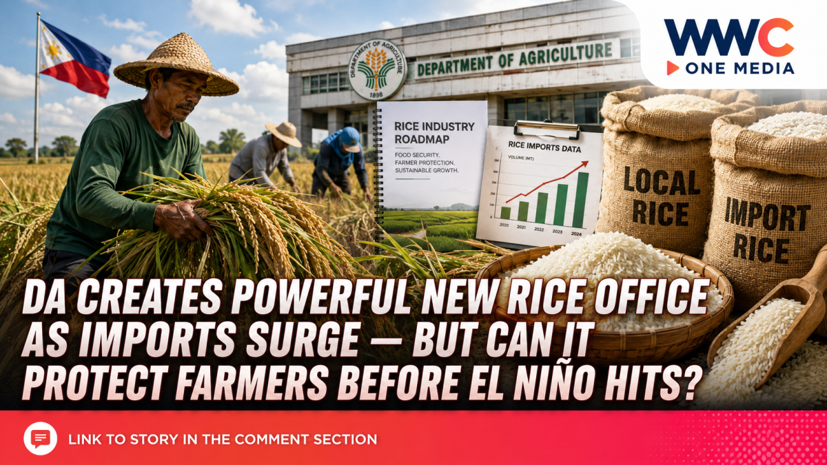 DA Creates Powerful New Rice Office as Imports Surge — But Can It Protect Farmers Before El Niño Hits?