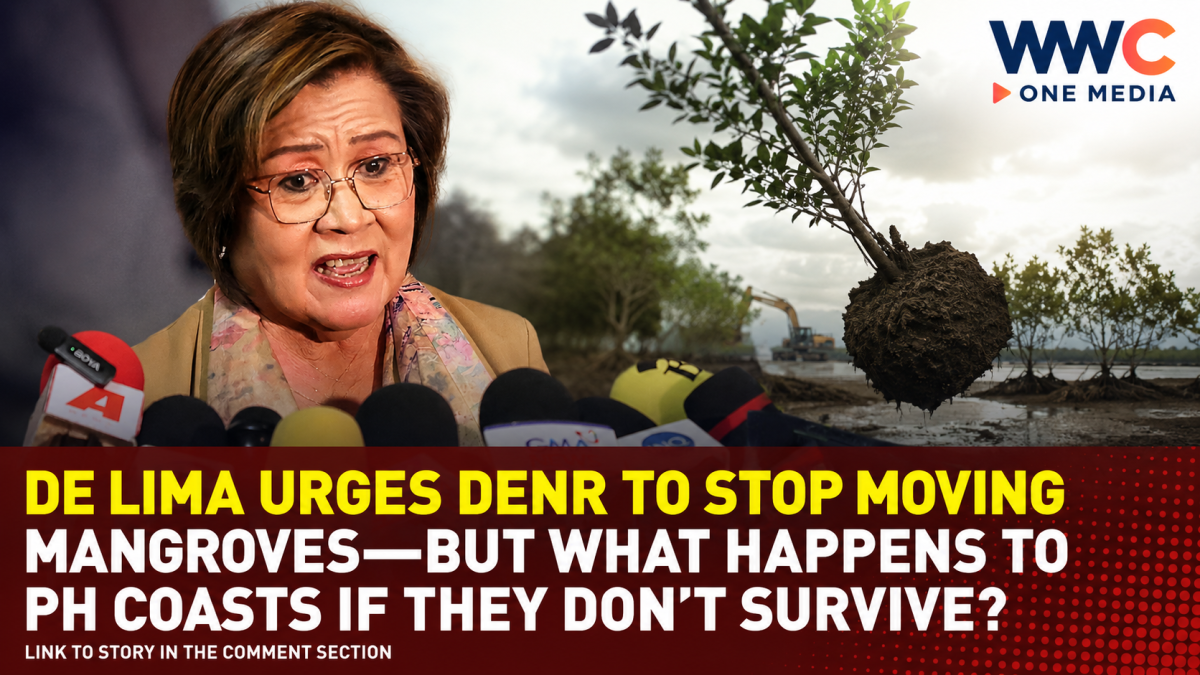 De Lima Urges DENR to Stop Moving Mangroves—But What Happens to PH Coasts If They Don’t Survive?