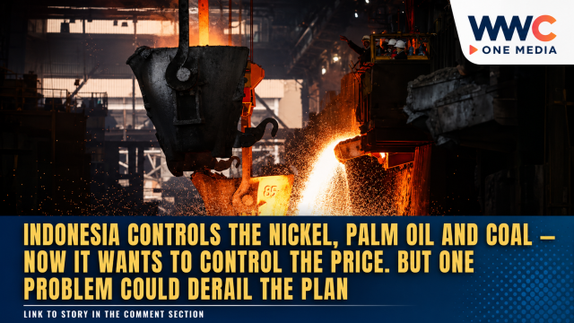 Indonesia Controls the Nickel, Palm Oil and Coal — Now It Wants to Control the Price. But One Problem Could Derail the Plan