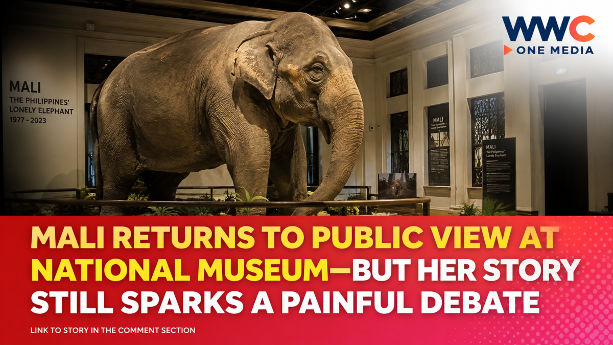 Mali Returns to Public View at National Museum—But Her Story Still Sparks a Painful Debate
