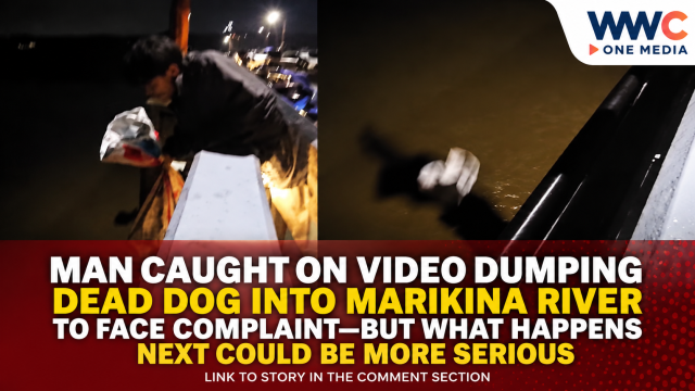 Man Caught on Video Dumping Dead Dog Into Marikina River to Face Complaint—But What Happens Next Could Be More Serious