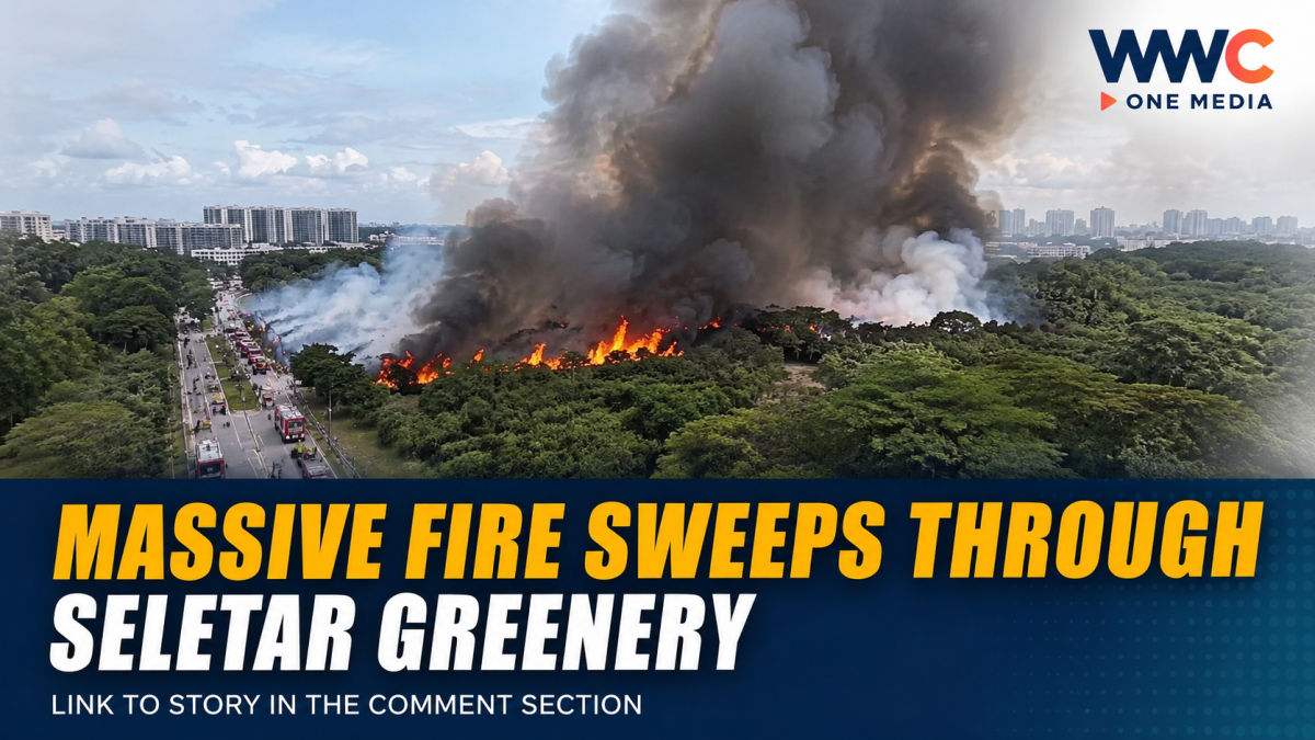 Massive Fire Sweeps Through Seletar Greenery
