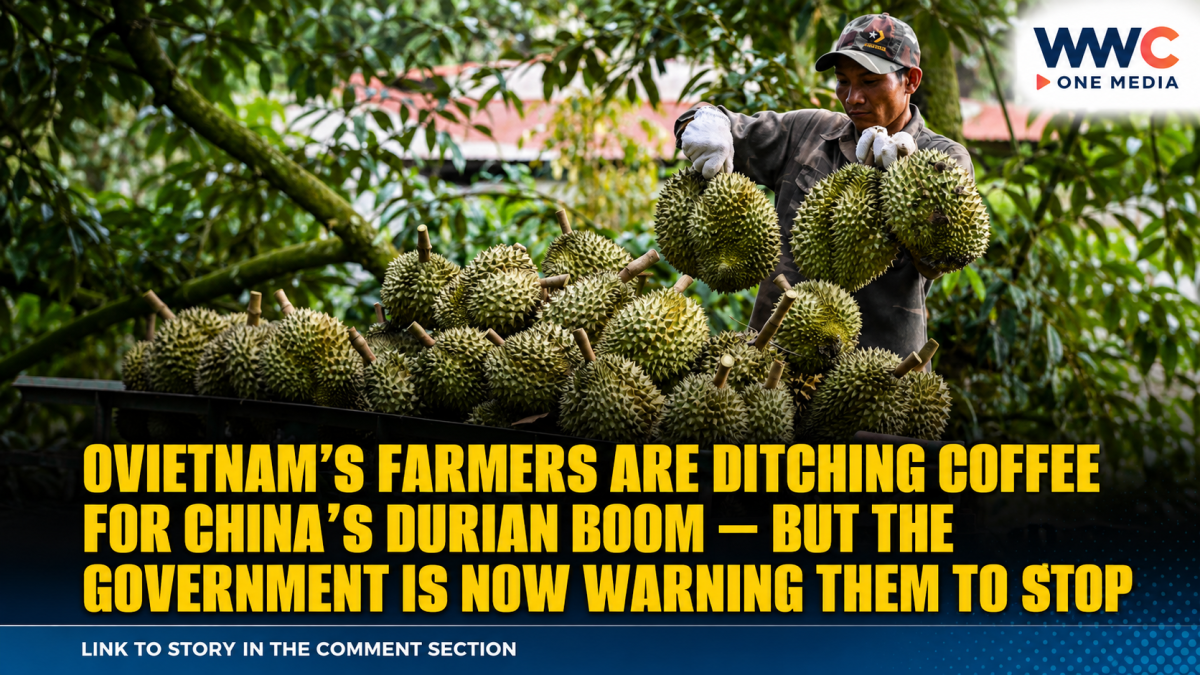 Vietnam’s Farmers Are Ditching Coffee for China’s Durian Boom — But the Government Is Now Warning Them to Stop