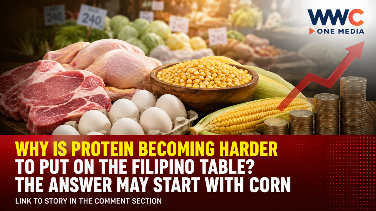 Why Is Protein Becoming Harder to Put on the Filipino Table? The Answer May Start With Corn