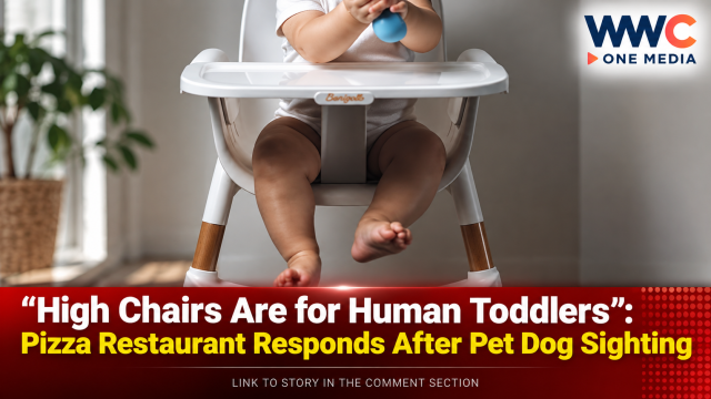 “High Chairs Are for Human Toddlers”: Pizza Restaurant Responds After Pet Dog Sighting