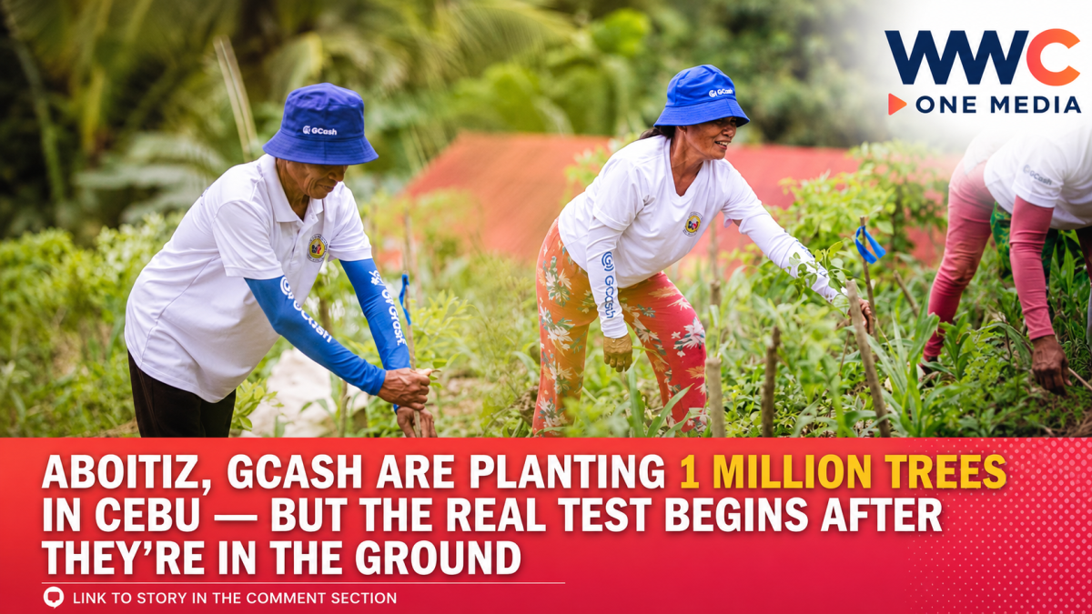 Aboitiz, GCash Are Planting 1 Million Trees in Cebu — But the Real Test Begins After They’re in the Ground