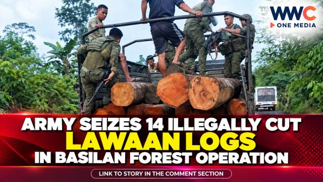 Army Seizes 14 Illegally Cut Lawaan Logs in Basilan Forest Operation