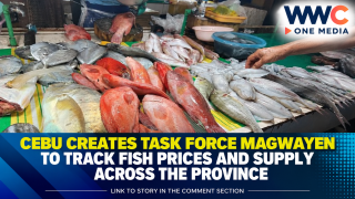Cebu Creates Task Force Magwayen to Track Fish Prices and Supply Across the Province