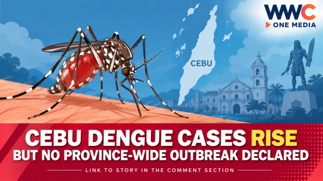 Cebu Dengue Cases Rise but No Province-Wide Outbreak Declared