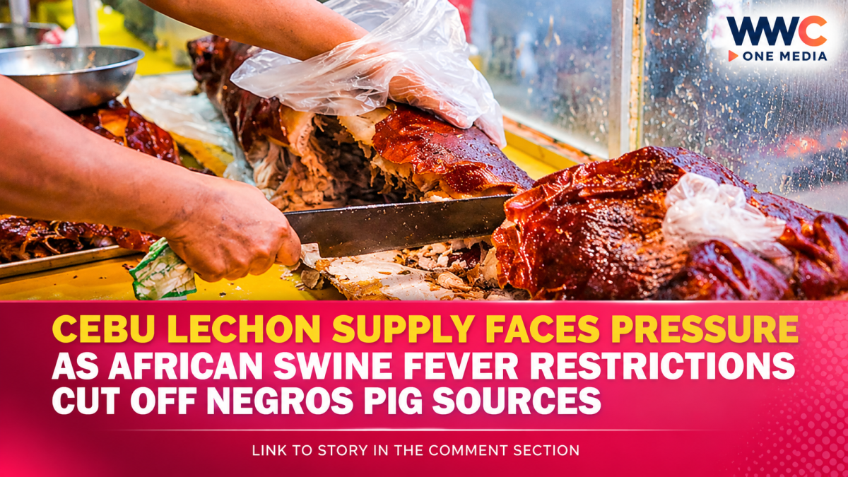 Cebu Lechon Supply Faces Pressure as African Swine Fever Restrictions Cut Off Negros Pig Sources