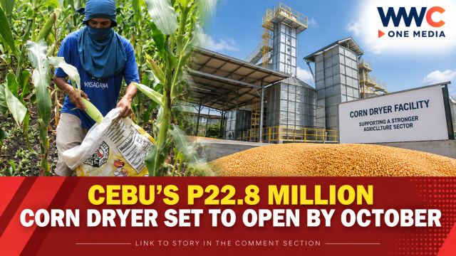 Cebu’s P22.8 Million Corn Dryer Set to Open by October