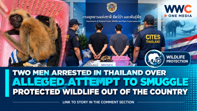 Two Men Arrested in Thailand Over Alleged Attempt to Smuggle Protected Wildlife Out of the Country