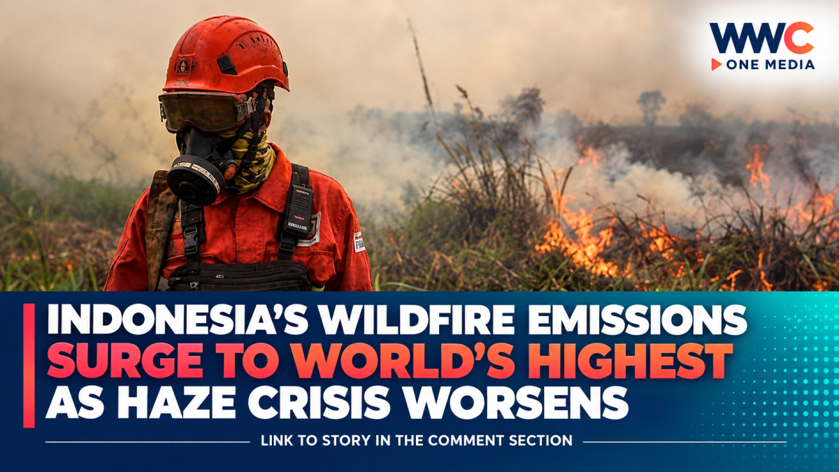 Indonesia’s Wildfire Emissions Surge to World’s Highest as Haze Crisis Worsens
