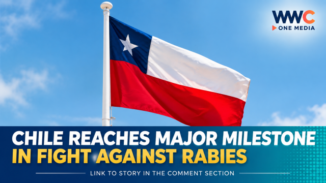 Chile Reaches Major Milestone in Fight Against Rabies