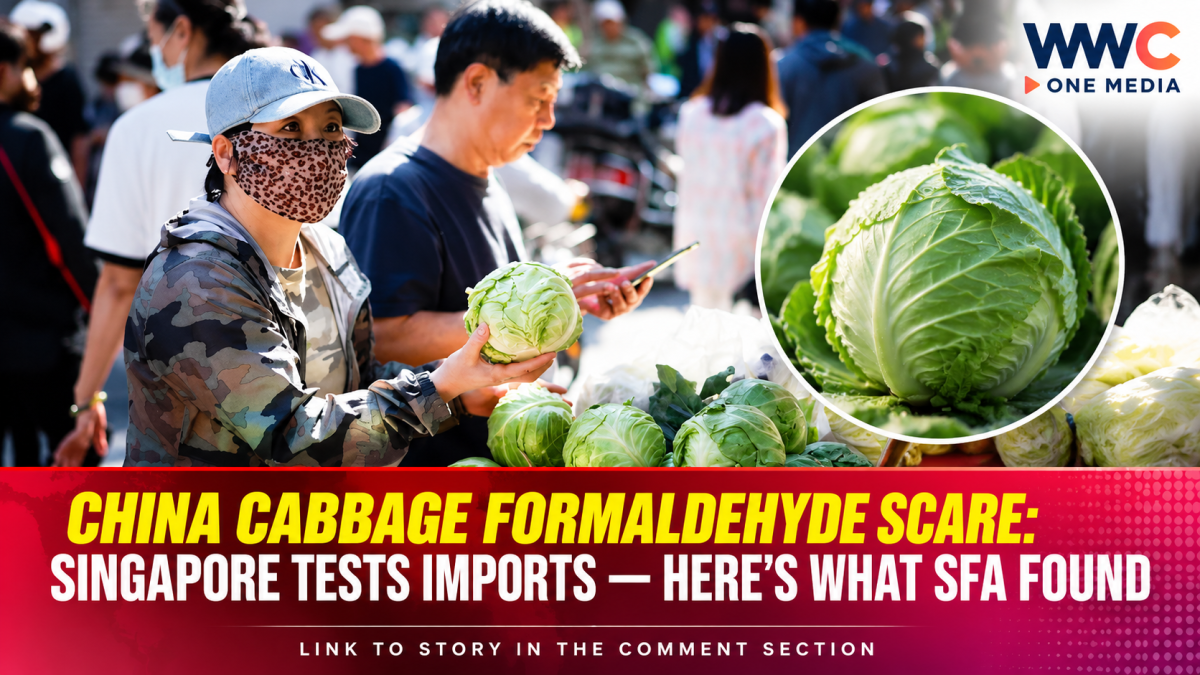 China Cabbage Formaldehyde Scare: Singapore Tests Imports — Here’s What SFA Found