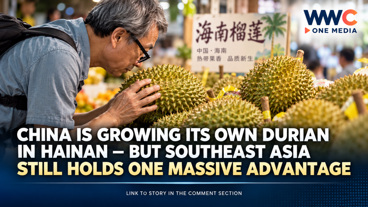 China Is Growing Its Own Durian in Hainan — But Southeast Asia Still Holds One Massive Advantage
