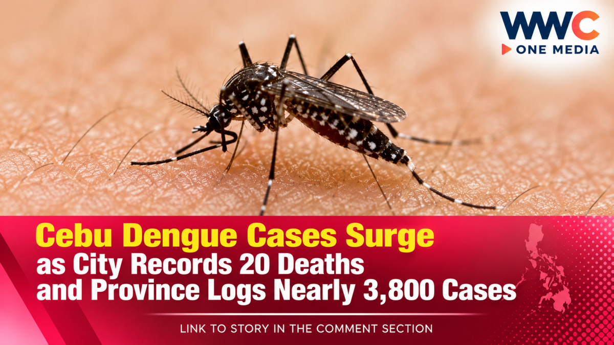 Cebu Dengue Cases Surge as City Records 20 Deaths and Province Logs Nearly 3,800 Cases
