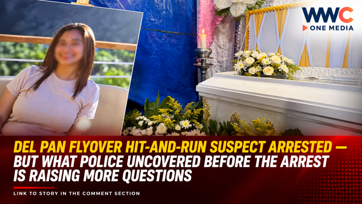 DEL PAN FLYOVER HIT-AND-RUN SUSPECT ARRESTED — BUT WHAT POLICE UNCOVERED BEFORE THE ARREST IS RAISING MORE QUESTIONS