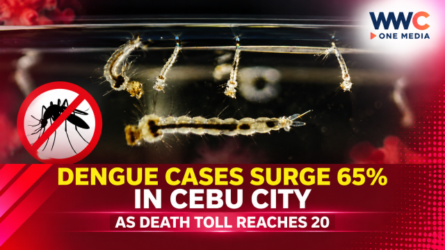 Dengue Cases Surge 65% in Cebu City as Death Toll Reaches 20
