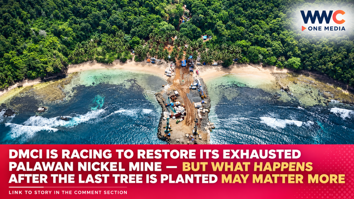 DMCI Is Racing to Restore Its Exhausted Palawan Nickel Mine — But What Happens After the Last Tree Is Planted May Matter More