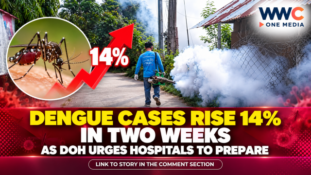 Dengue Cases Rise 14% in Two Weeks as DOH Urges Hospitals to Prepare