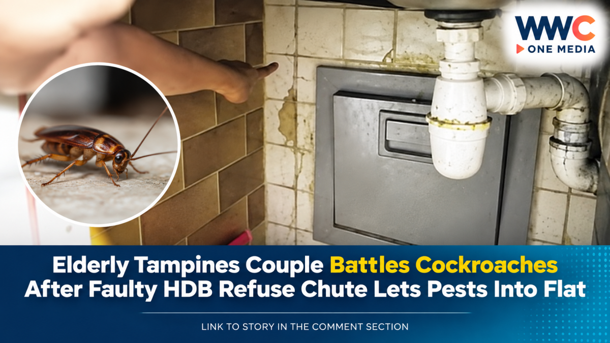 Elderly Tampines Couple Battles Cockroaches After Faulty HDB Refuse Chute Lets Pests Into Flat
