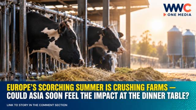 Europe’s Scorching Summer Is Crushing Farms — Could Asia Soon Feel the Impact at the Dinner Table?