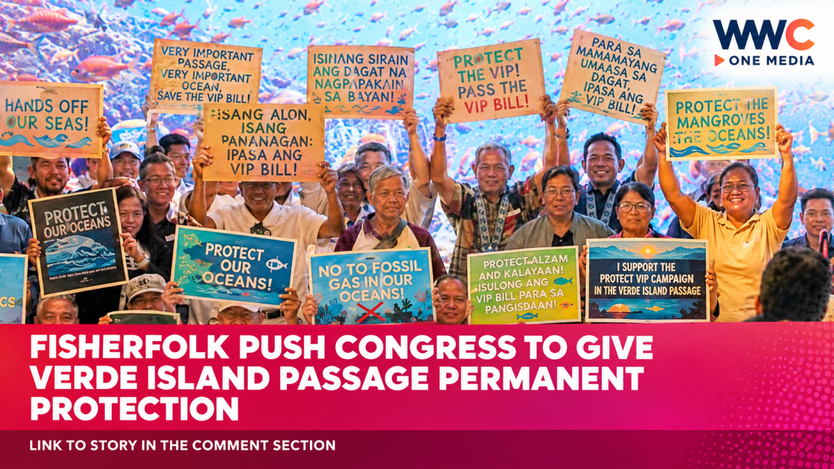 Fisherfolk Push Congress to Give Verde Island Passage Permanent Protection