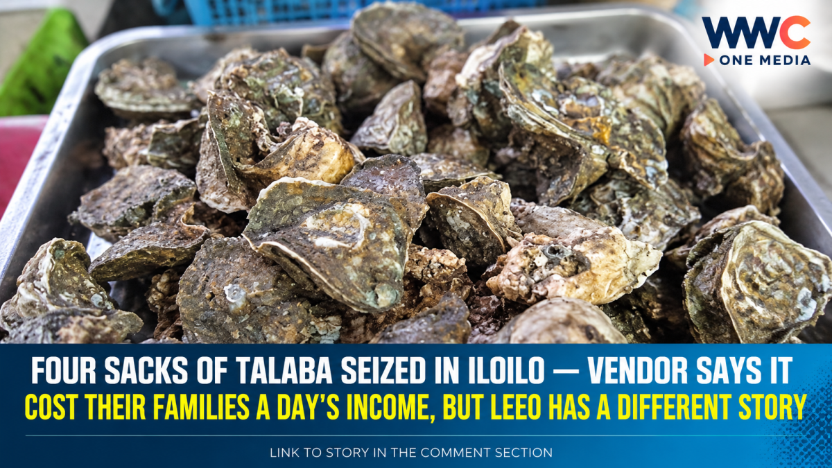 Four Sacks of Talaba Seized in Iloilo — Vendor Says It Cost Their Families a Day’s Income, But LEEO Has a Different Story