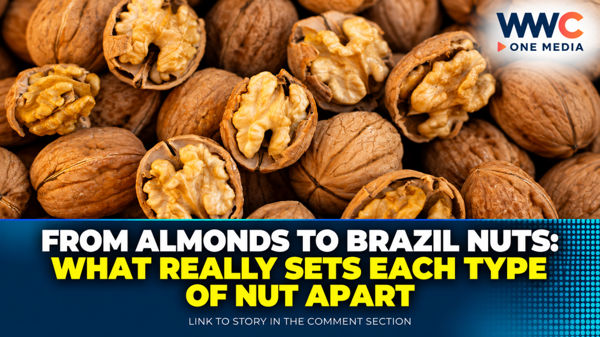 From Almonds to Brazil Nuts: What Really Sets Each Type of Nut Apart