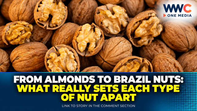 From Almonds to Brazil Nuts: What Really Sets Each Type of Nut Apart