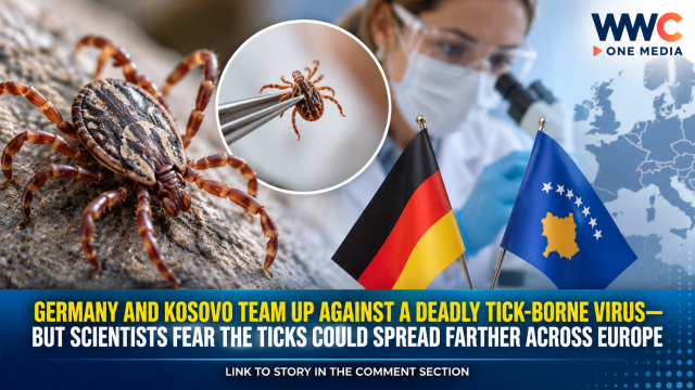 Germany and Kosovo Team Up Against a Deadly Tick-Borne Virus—But Scientists Fear the Ticks Could Spread Farther Across Europe