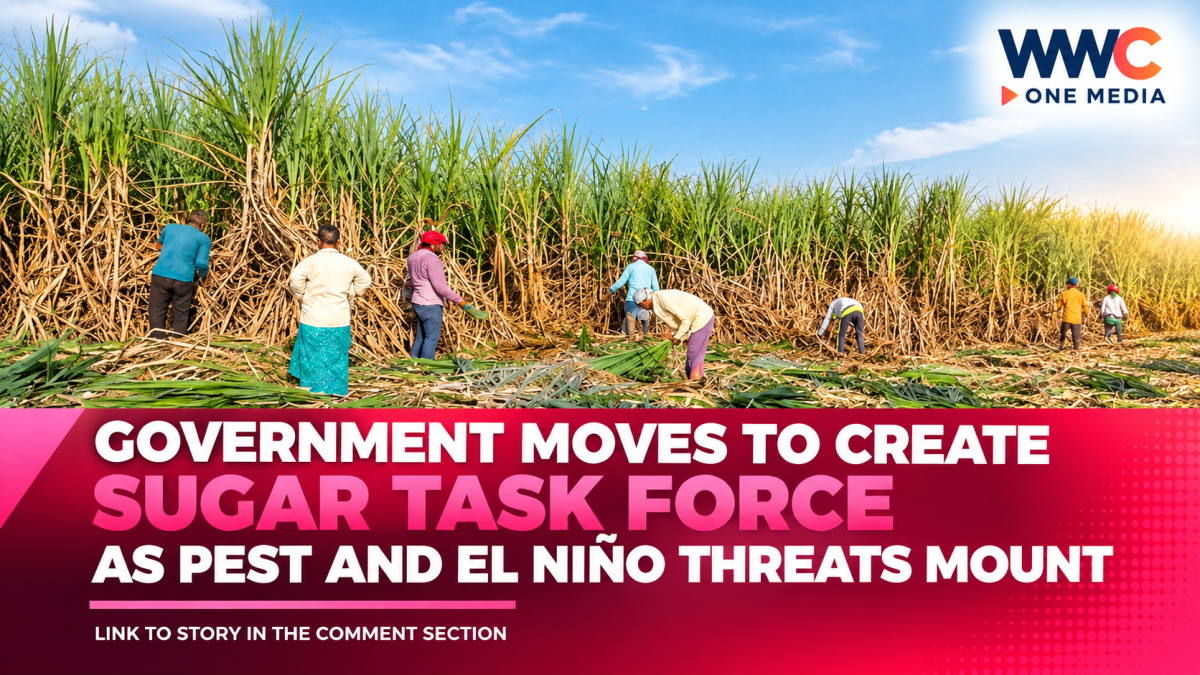 Government Moves to Create Sugar Task Force as Pest and El Niño Threats Mount