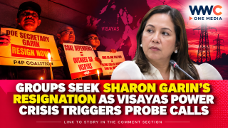 Groups Seek Sharon Garin’s Resignation as Visayas Power Crisis Triggers Probe Calls