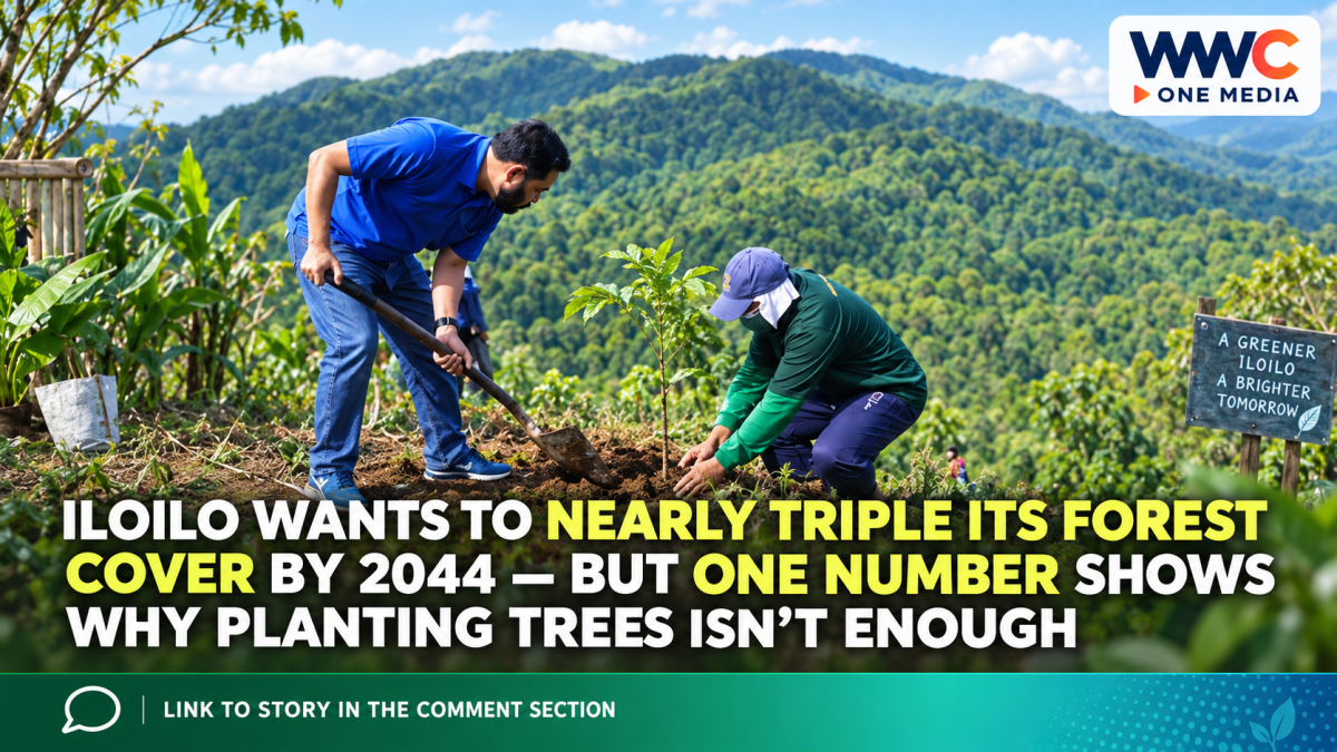 Iloilo Wants to Nearly Triple Its Forest Cover by 2044 — But One Number Shows Why Planting Trees Isn’t Enough