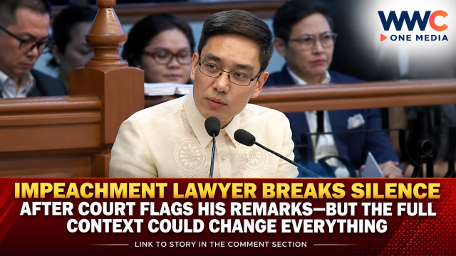 Impeachment Lawyer Breaks Silence After Court Flags His Remarks—But the Full Context Could Change Everything