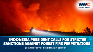 Indonesia President Calls for Stricter Sanctions Against Forest Fire Perpetrators