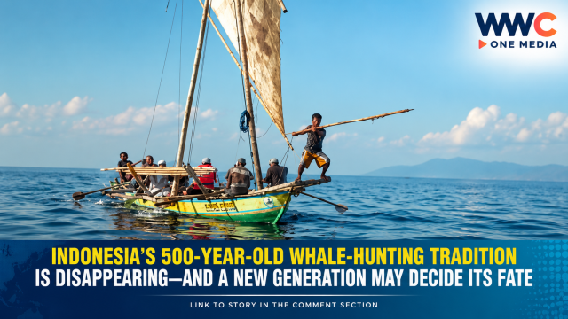 Indonesia’s 500-Year-Old Whale-Hunting Tradition Is Disappearing—And a New Generation May Decide Its Fate