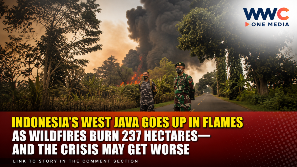 Indonesia’s West Java Goes Up in Flames as Wildfires Burn 237 Hectares—And the Crisis May Get Worse