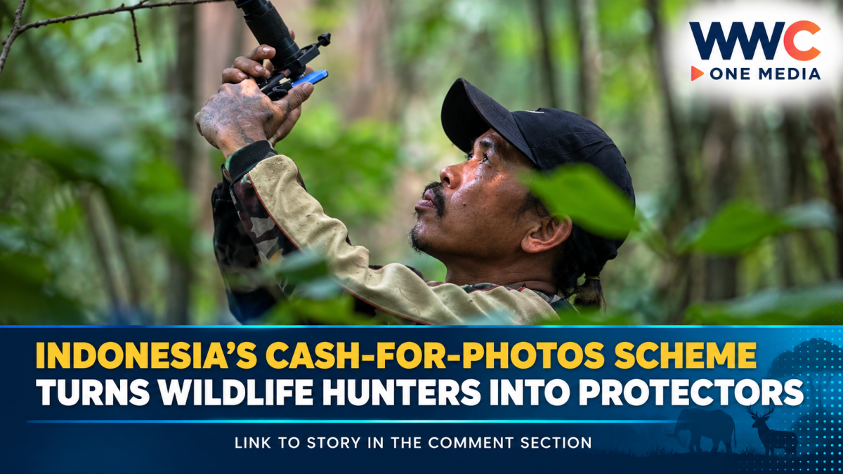 Indonesia’s Cash-for-Photos Scheme Turns Wildlife Hunters Into Protectors