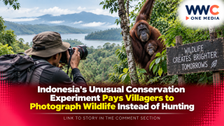 Indonesia’s Unusual Conservation Experiment Pays Villagers to Photograph Wildlife Instead of Hunting