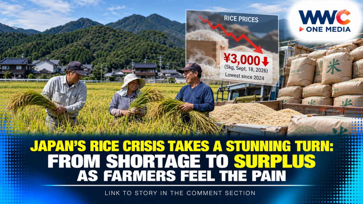 Japan’s Rice Crisis Takes a Stunning Turn: From Shortage to Surplus as Farmers Feel the Pain