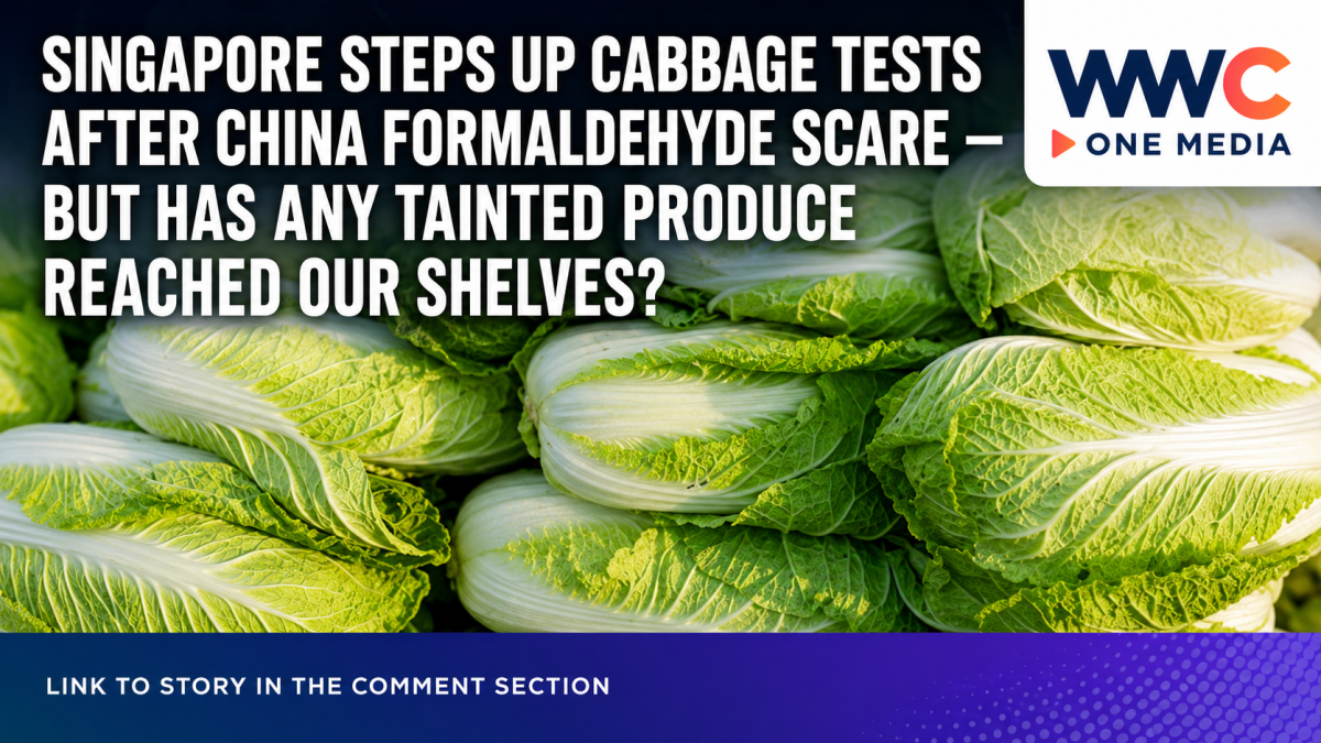 Singapore Steps Up Cabbage Tests After China Formaldehyde Scare — But Has Any Tainted Produce Reached Our Shelves?
