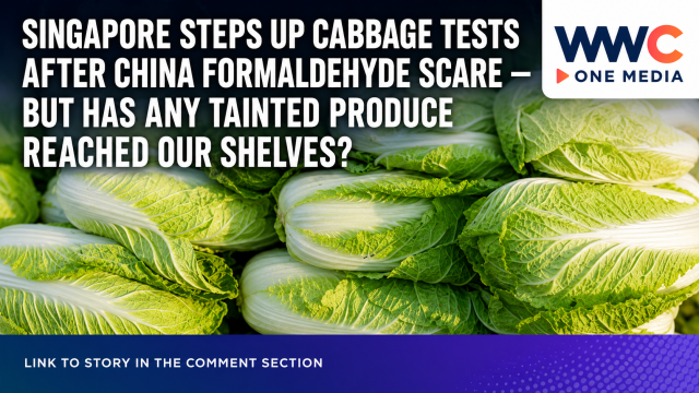 Singapore Steps Up Cabbage Tests After China Formaldehyde Scare — But Has Any Tainted Produce Reached Our Shelves?