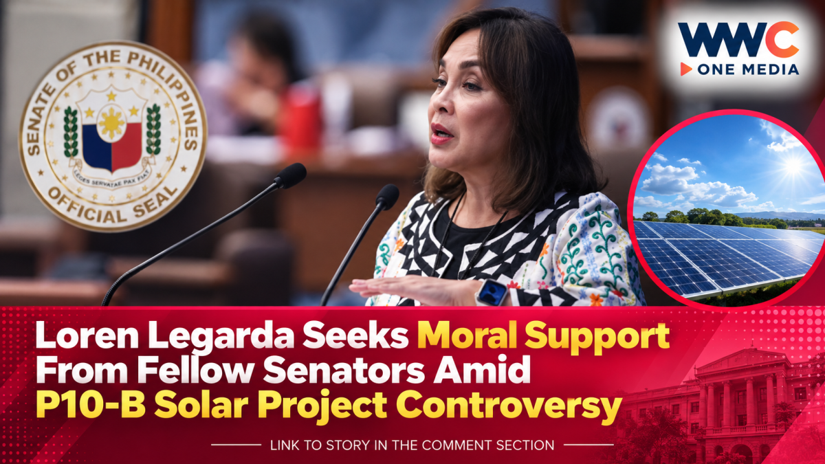 Loren Legarda Seeks Moral Support From Fellow Senators Amid P10-B Solar Project Controversy