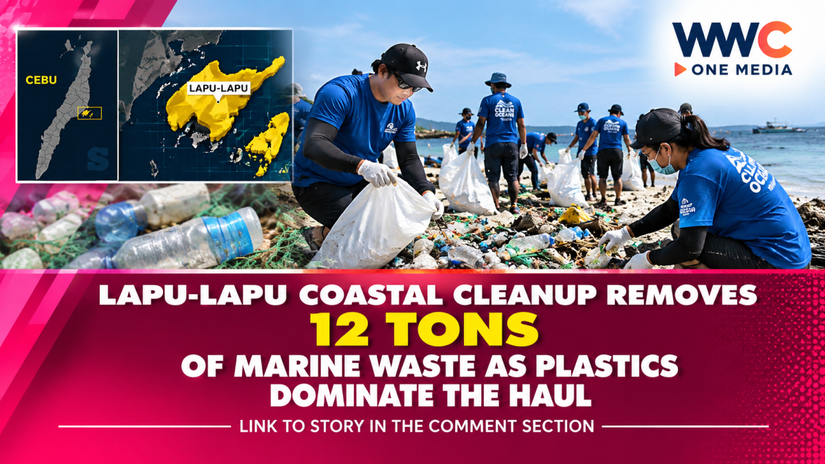 Lapu-Lapu Coastal Cleanup Removes 12 Tons of Marine Waste as Plastics Dominate the Haul