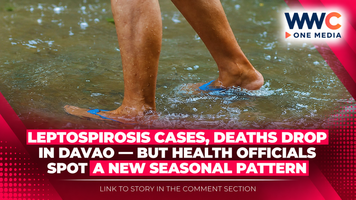 Leptospirosis Cases, Deaths Drop in Davao — But Health Officials Spot a New Seasonal Pattern