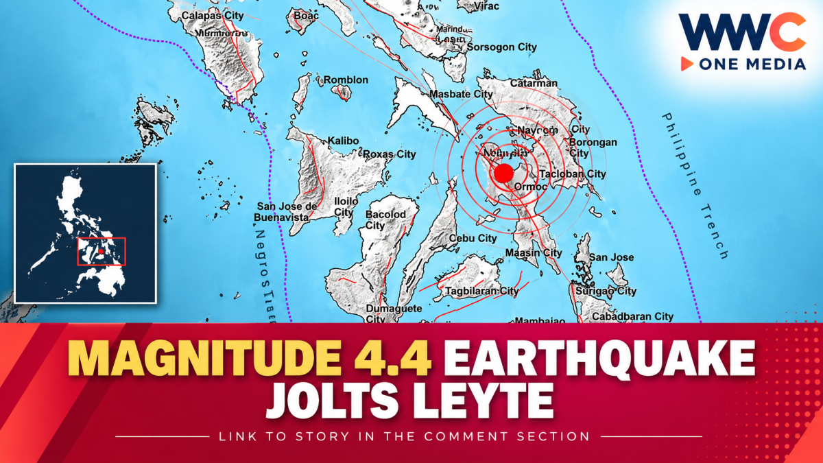Magnitude 4.4 Earthquake Jolts Leyte