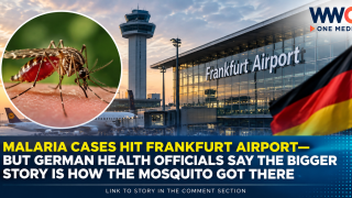 Malaria Cases Hit Frankfurt Airport—But German Health Officials Say the Bigger Story Is How the Mosquito Got There